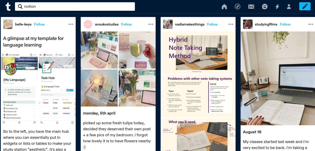 Tumblr search result displaying Notion tips
